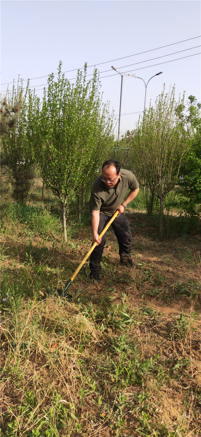 微信圖片_202204271709181.jpg 微信圖片_202204271709181.jpg