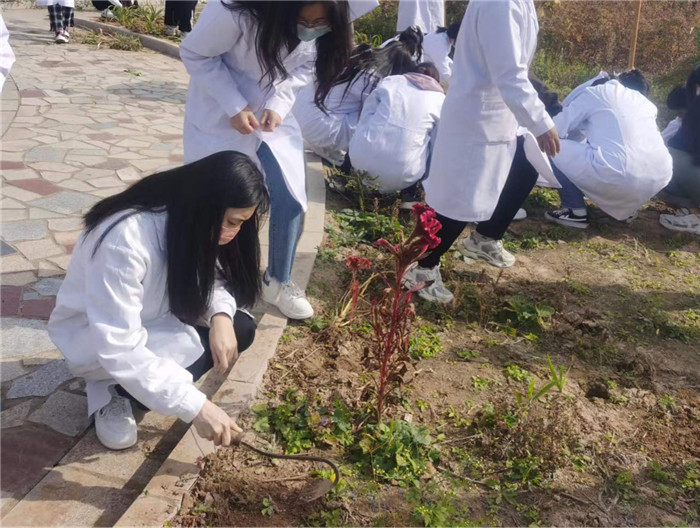 圖片8.jpg 圖片8.jpg