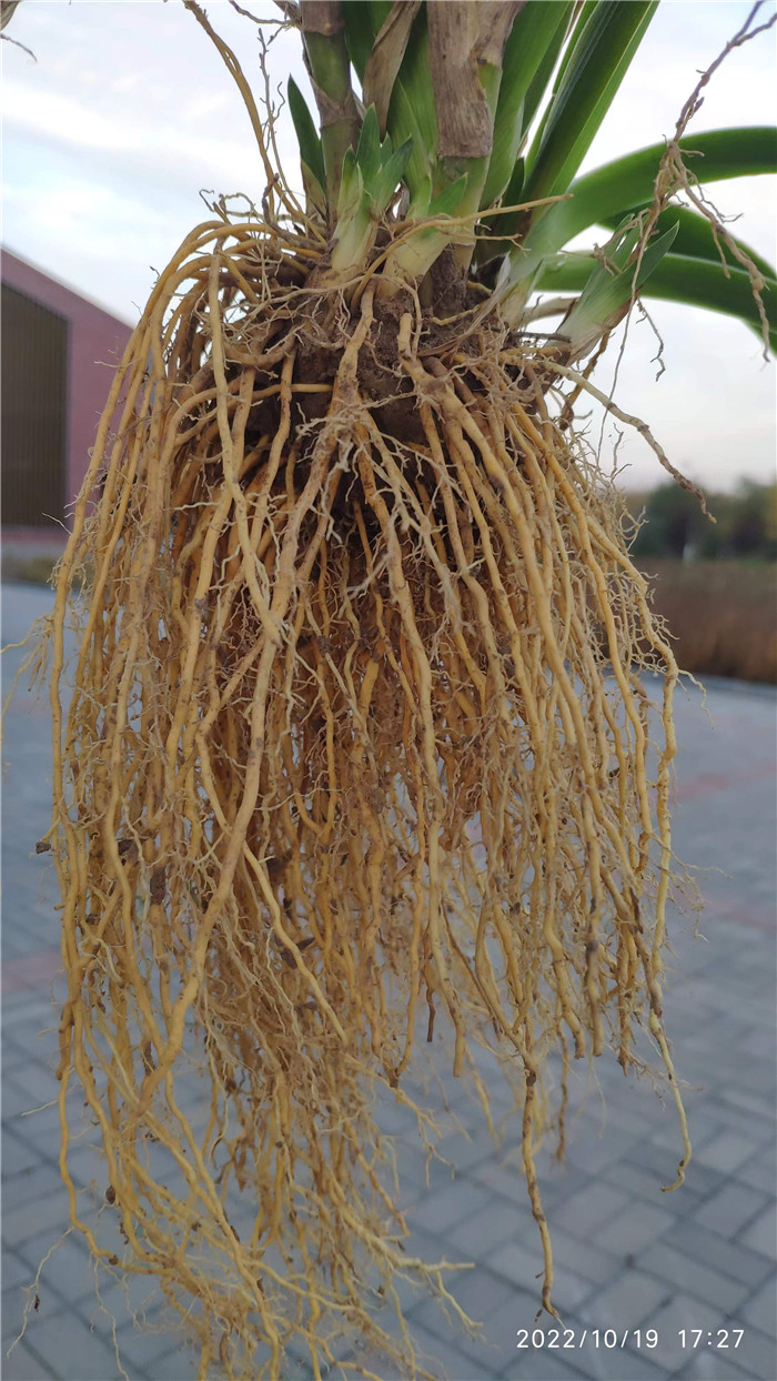 圖片12.jpg 圖片12.jpg