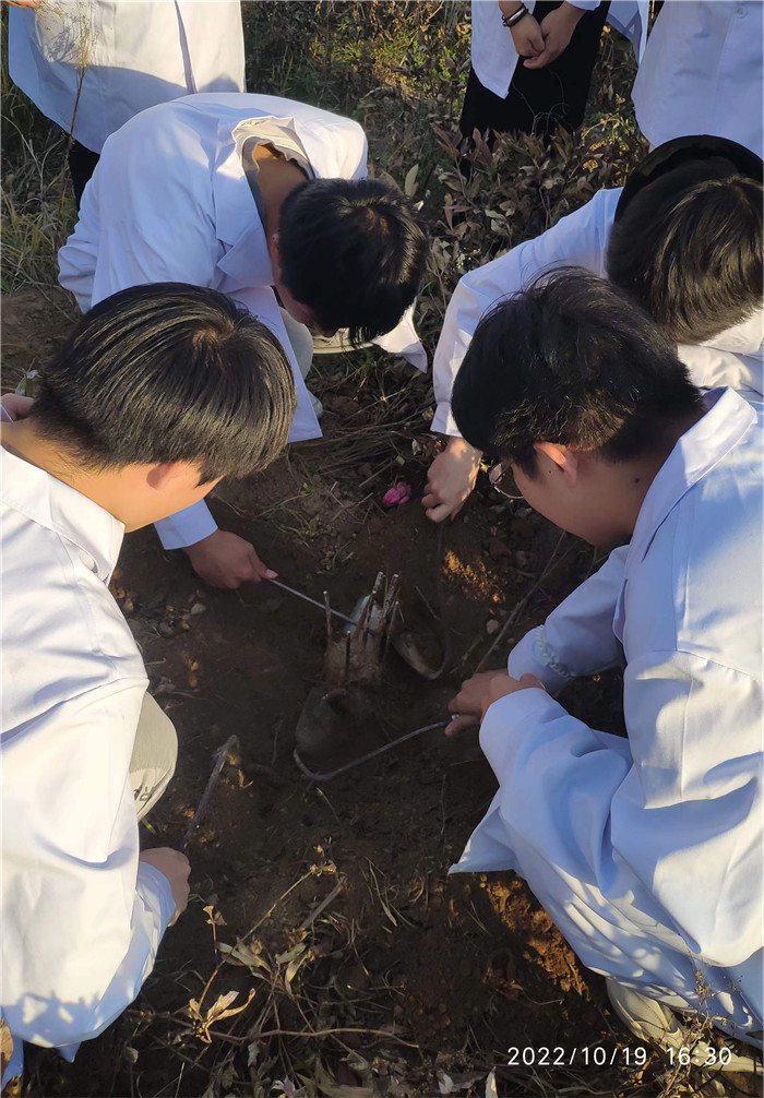 圖片13.jpg 圖片13.jpg