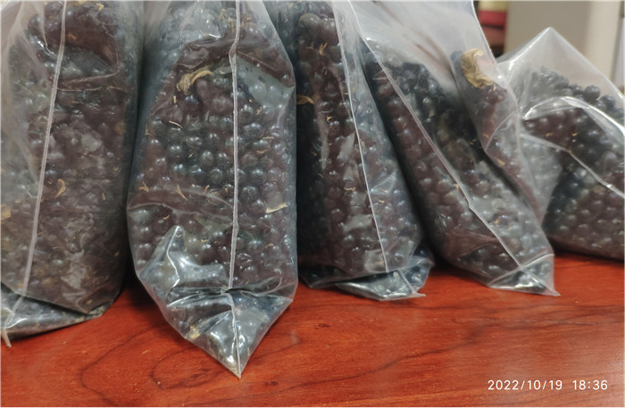 圖片15.jpg 圖片15.jpg