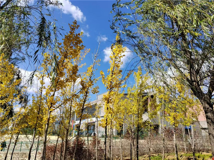 圖片1.jpg 圖片1.jpg